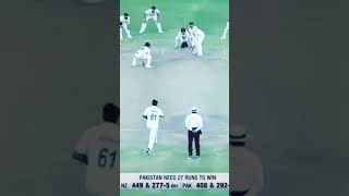 the greatest last wicket partnership ever [upl. by Sualkcin126]