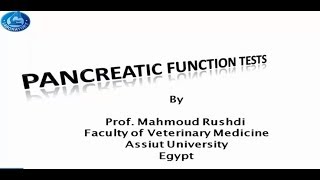 Pancreatic Function Tests Arabic lecture 2015 [upl. by Gardal511]