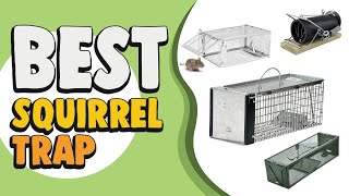 Best Squirrel Trap in 2021 – Catch Squirrel Easily amp Efforylessly [upl. by Kenrick512]