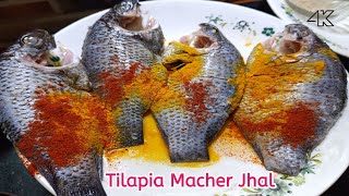 Tilapia Macher Jhal Recipe তেলাপিয়া মাছের ঝাল রেসিপি [upl. by Hughmanick]