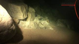 Cave diving Cetina in Croatia 109m [upl. by Canice]