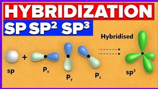 Hybridization class 11th chapter 1 NCERT  CBSE  All board exams class11th chemistry [upl. by Rehpetsirhc]