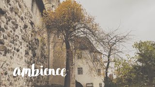 Cozy Castle Ambience Music for Autumn amp Winter • 1 Hr of Music for Studying Reading amp Relaxing [upl. by Yarak]