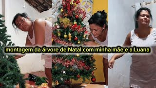 montagem da árvore de Natal com minha mãe e a Luana [upl. by Thad]