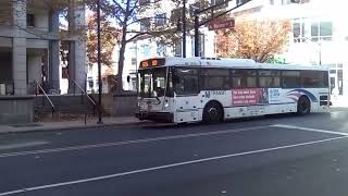 NJ Transit 2010 NABI 41615 5558 on Route 609🏛️ EwingNJDOTTalking Book Braille Ctr [upl. by Gnil628]