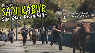 Sapi Kabur  Gak mau Disembelih  Eps79 [upl. by Leruj]