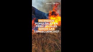 Incendios forestales en Perú ¿Cuáles serán las consecuencias [upl. by Ennovoj]