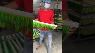 Mango drink peene Wale ho jao savdhan making shortvideo [upl. by Ebony]