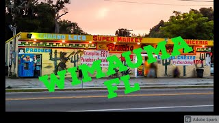 WIMAUMA Fl  FLORIDAS LITTLE MEXICO DRIVE AROUND TOUR 2021 [upl. by Renzo596]