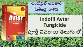 Indofil Avtar Fungicide in Telugu  ఇండోఫైల్ అవతార్ సిలింద్ర నాశిని  zineb  Hexaconazole [upl. by Aletse63]