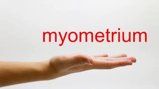 How to Pronounce myometrium  American English [upl. by Kloman232]