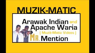 Mr Mention  Arawak Indian amp Apache Waria  Guyana Reggae Music  Released 1995 [upl. by Ihp]