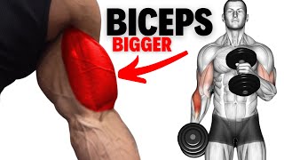 how to build bigger biceps workout [upl. by Kata]