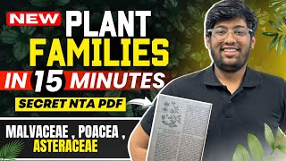 New PLANT Families for NEET 2024🔥 Malvaceae Asteraceae  Poaceae  Special PDF  tricks [upl. by Nimar169]