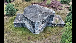 In der Heide blüht ein kleines Blümelein [upl. by Aivilo17]