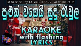 Pulun Wage Sudu Raula Digai Karaoke with Lyrics Without Voice [upl. by Trip]