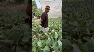 Be smart Do natural farming [upl. by Cross]