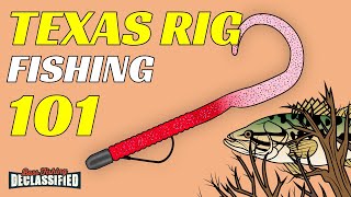 The 1 LURE To Catch Bass  Texas Rig Fishing 101 [upl. by Ennairek]