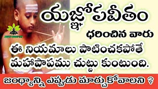 Yagnopaveetham జంధ్యం WHEN SHOULD WE CHANGE YAGNOPAVEETHAM WHAT ARE THE RULES TO BE FOLLOWED [upl. by Ayojal]