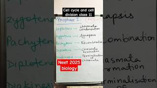 Prophase 1 of Meiosis  cell cycle and cell division class 11 biology shorts neet2025 [upl. by Schoenberg]