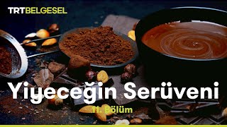 Yiyeceğin Serüveni  Çikolata  TRT Belgesel [upl. by Ladnyk]