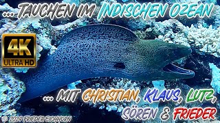 Tauchen im Indischen Ozean 🦞 🐟 🐠 [upl. by Culliton167]