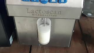 Buffalocow milk fat testing machine modern  dairy  milking [upl. by Mingche]