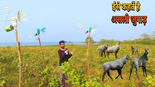 अब ईतने सारे जुगाड़ सभी जानवरों को भगा देंन्गे  Deshi Jugad  khet se Jangli Janwaro ko bhagaye [upl. by Wylen]