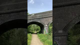 Lower Hillmorton road bridge on Great Central railway walk old blue bricks 3 spans on 100524 rail [upl. by Weyermann]