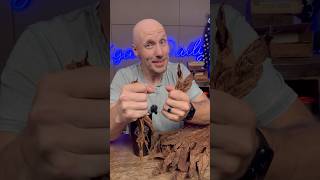 How cigars get flavor transitions cigarsdaily cigars [upl. by Elbam529]