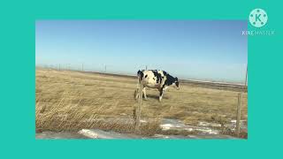 Claresholm alberta Canada Hutterite colony [upl. by Casimir]