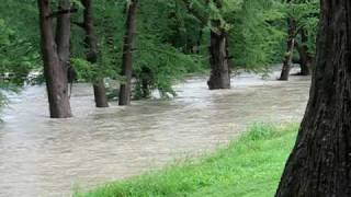 Bandera Texas Park flood [upl. by Yrannav231]