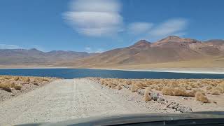 Atacama  Lagunas altiplánicas [upl. by Ahsieken]