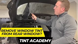 Mastering Tint Removal How to Remove Window Tint From Rear Window of a HatchBack  How to Tint [upl. by Jann]