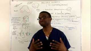 Multiple Sclerosis  Everything you need to know [upl. by Ambrose292]