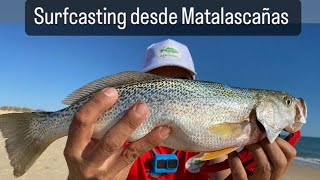 Surfcasting en Matalascañas [upl. by Eramal925]