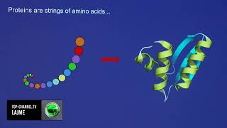 Top Channel “Çkoduan” proteinat me ndihmën e AI tre shkencëtarë fitojnë Nobelin e Kimisë [upl. by Aehtna]