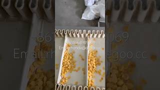 Cornflakes maker machine cereals flakes manufacturer plant extruder [upl. by Nana]