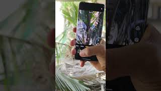 Realme 12 Pro Plus ka 5G mobile waterproof and Pro in [upl. by Llehsam]