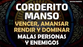 Corderito Manso oración para vencer amansar rendir y dominar malas personas y enemigos [upl. by Eniortna]