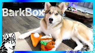 ALL THE TOYS BELONG TO SHELBY  Thanksgiving Bark Box Unboxing with Dog Commentary [upl. by Etnahsa]