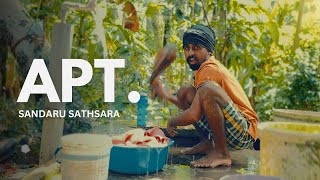 APT  Sandaru Sathsara  Music Video  Cover [upl. by Hbahsur]