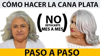 Como hacer la cana PLATA paso a paso  BETTY LAZCANO [upl. by Jareen]