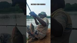 🐟Tilapia🐟fishing in Madurai river👌👌👌 [upl. by Thorlay718]