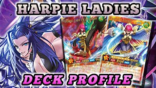 Harpie Ladies DECK PROFILE  YUGIOH RUSH DUEL [upl. by Valdas]