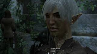 Dragon Age 2 Fenris Romance 12 Bait and Switch [upl. by Ieluuk118]