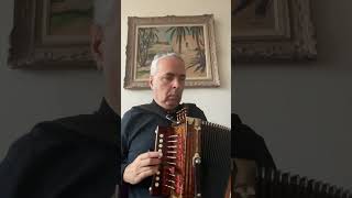 N Lygeros John McGovern’s melody B Cajun Accordion Martin lygeros music acordeon [upl. by Hux672]