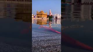 Waheguru ji shortsfeed shorts viralvideo ytshorts waheguru [upl. by Vitia]