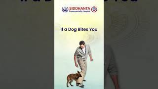 World Rabies Day  5 Things to Do When a Dog Bites  Siddhanta Superspeciality Hospital Bhopal [upl. by Anik]