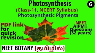 Photosynthetic Pigments How many types of pigments are involved in Photosynthesis NEET Botany [upl. by Ahseym995]